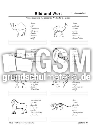 BuW Zootiere17.pdf